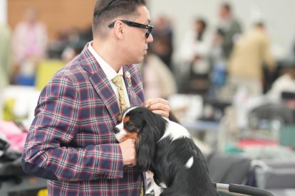 Exposición Canina Internacional de Valladolid