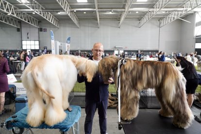 Exposición Canina Internacional de Valladolid