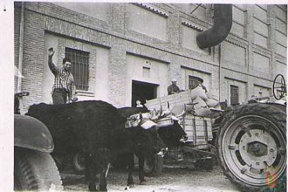 Operarios descargan grano con tractores y bueyes en el silo de la avenida de Gijón.