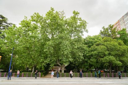 Plaza Poniente en la actualidad