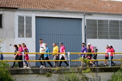 49ª Marcha Asprona en Valladolid