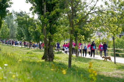 49ª Marcha Asprona en Valladolid