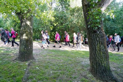 49ª Marcha Asprona en Valladolid