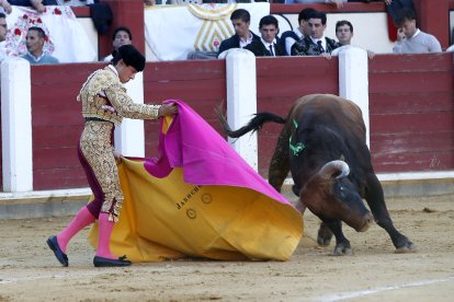 Primer toro de Roberto Martin 