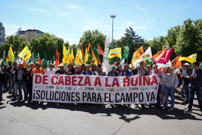 Concentración y manifestación de las Opas para exigir apoyos para garantizar el futuro del campo.