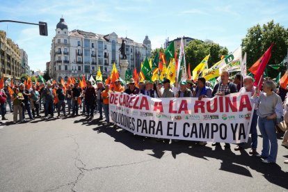 Concentración y manifestación de las Opas para exigir apoyos para garantizar el futuro del campo.