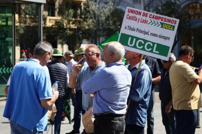 Concentración y manifestación de las Opas para exigir apoyos para garantizar el futuro del campo.