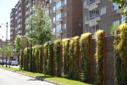 El paseo del Hospital Militar en la actualidad