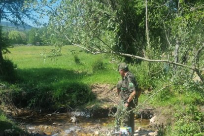 Captura de percas con pesca eléctrica.