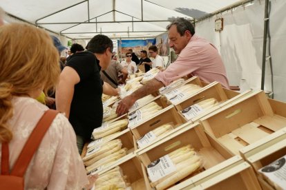 Feria del Espárrago y la Artesanía de Tudela en Valladolid.