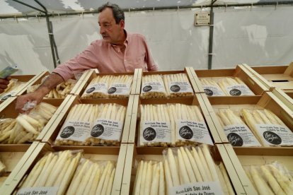 Feria del Espárrago y la Artesanía de Tudela en Valladolid.