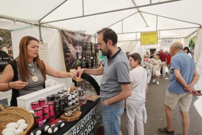 Exaltación del Espárrago y la Artesanía de Tudela de Duero