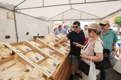 Exaltación del Espárrago y la Artesanía de Tudela de Duero