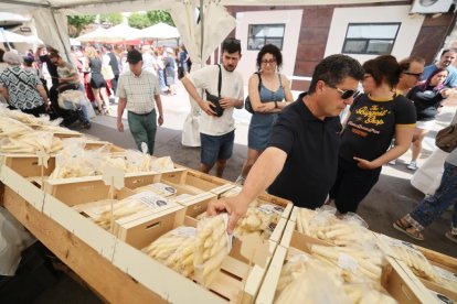 Exaltación del Espárrago y la Artesanía de Tudela de Duero