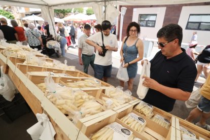 Exaltación del Espárrago y la Artesanía de Tudela de Duero