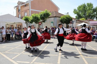 Exaltación del Espárrago y la Artesanía de Tudela de Duero