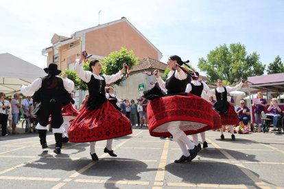 Exaltación del Espárrago y la Artesanía de Tudela de Duero