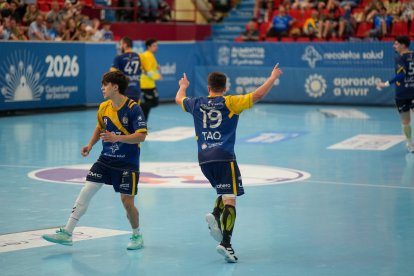 Imágenes del Recoletas-BM Nava en la despedida de Miguel Camino como jugador del Recoletas.