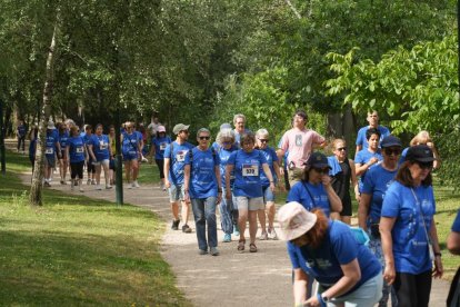 IX Caminata Popular a favor de la Fundación Banco de Alimentos.