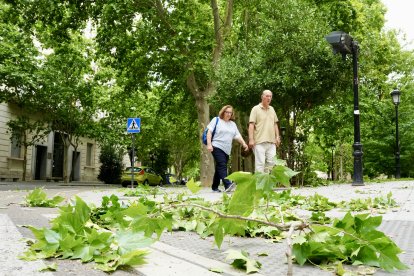 Afecciones causadas por la tormenta en diferentes puntos de Valladolid.