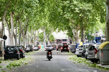 Afecciones causadas por la tormenta en diferentes puntos de Valladolid.