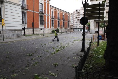 Afecciones causadas por la tormenta en diferentes puntos de Valladolid.