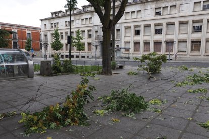 Afecciones causadas por la tormenta en diferentes puntos de Valladolid.