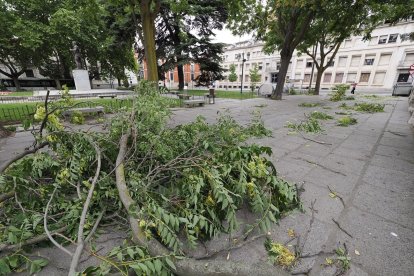 Afecciones causadas por la tormenta en diferentes puntos de Valladolid.