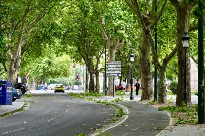 Afecciones causadas por la tormenta en diferentes puntos de Valladolid.