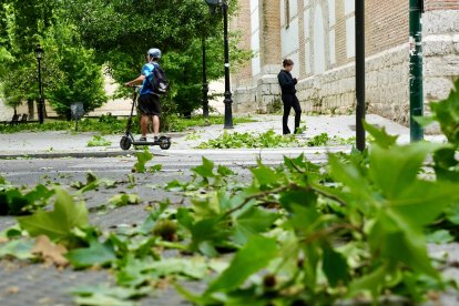 Afecciones causadas por la tormenta en diferentes puntos de Valladolid.