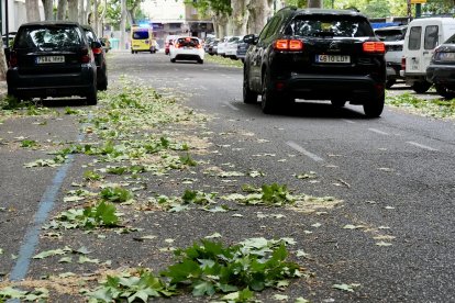 Afecciones causadas por la tormenta en diferentes puntos de Valladolid.