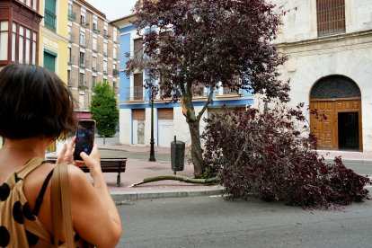 Afecciones causadas por la tormenta en diferentes puntos de Valladolid.