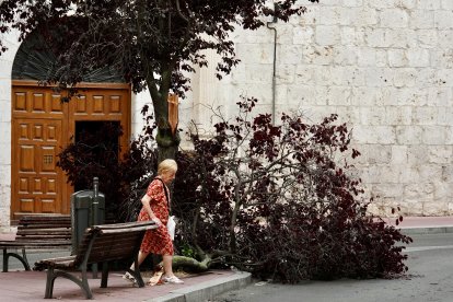 Afecciones causadas por la tormenta en diferentes puntos de Valladolid.