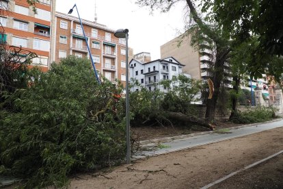 Afecciones causadas por la tormenta en diferentes puntos de Valladolid.