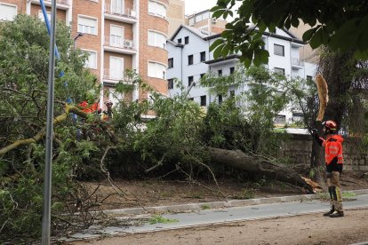 Afecciones causadas por la tormenta en diferentes puntos de Valladolid.