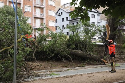 Afecciones causadas por la tormenta en diferentes puntos de Valladolid.