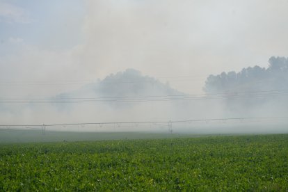 El Incendio en Íscar (Valladolid) desde las afueras.