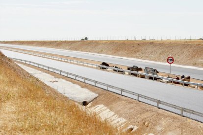 Villavaquerín , Valladolid. 15/7/2026. A11, Autovía del Duero.A su paso por Terrenos de Villavaquerín. Photogenic/Miguel Ángel Santos