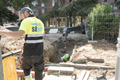 Obras en la avenida de Salamanca con corte al tráfico rodado por la red de calor.