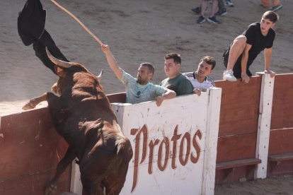 Encierro y capea de Peñafiel.