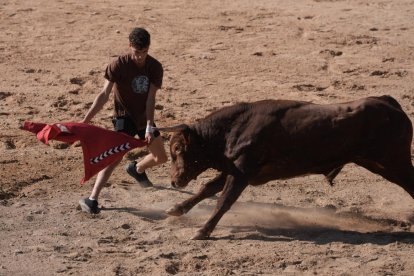 Encierro y capea de Peñafiel.