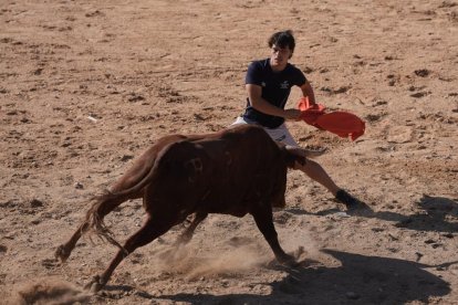 Encierro y capea de Peñafiel.