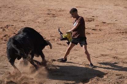 Encierro y capea de Peñafiel.