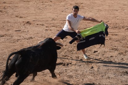 Encierro y capea de Peñafiel.