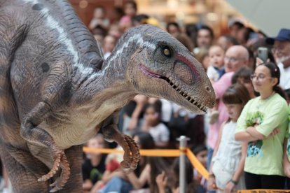 Un momento de la aparición del Velociraptor en el espectáculo.