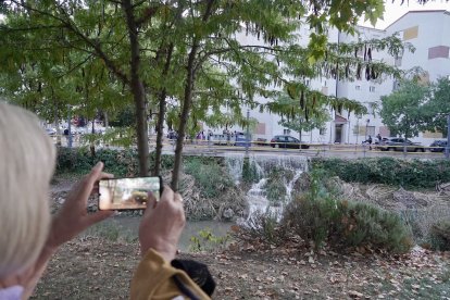 Reventón de una tubería en el paseo del Cauce de Valladolid.