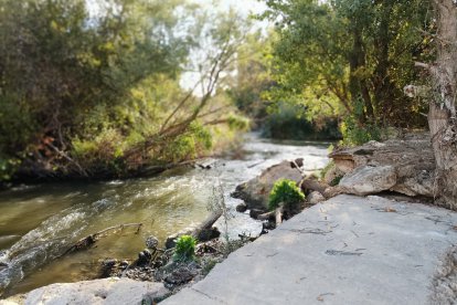 Las obras de la pesquera de Mazariegos.