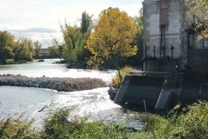 Las obras de la pesquera de Mazariegos.