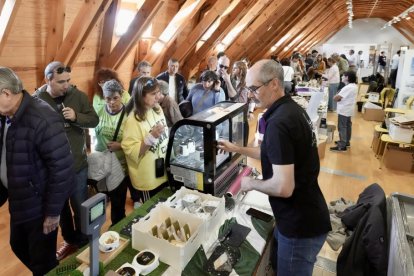 Feria VallaQueso organizado por la Diputación de Valladolid
