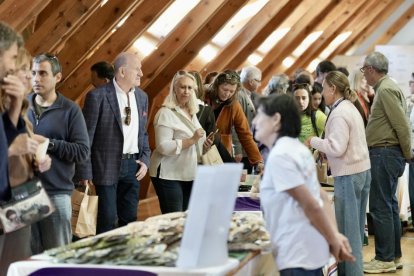 Feria VallaQueso organizado por la Diputación de Valladolid